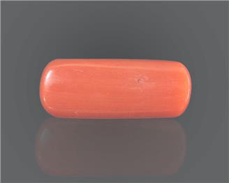 Natural Coral  7.4RTS-27568